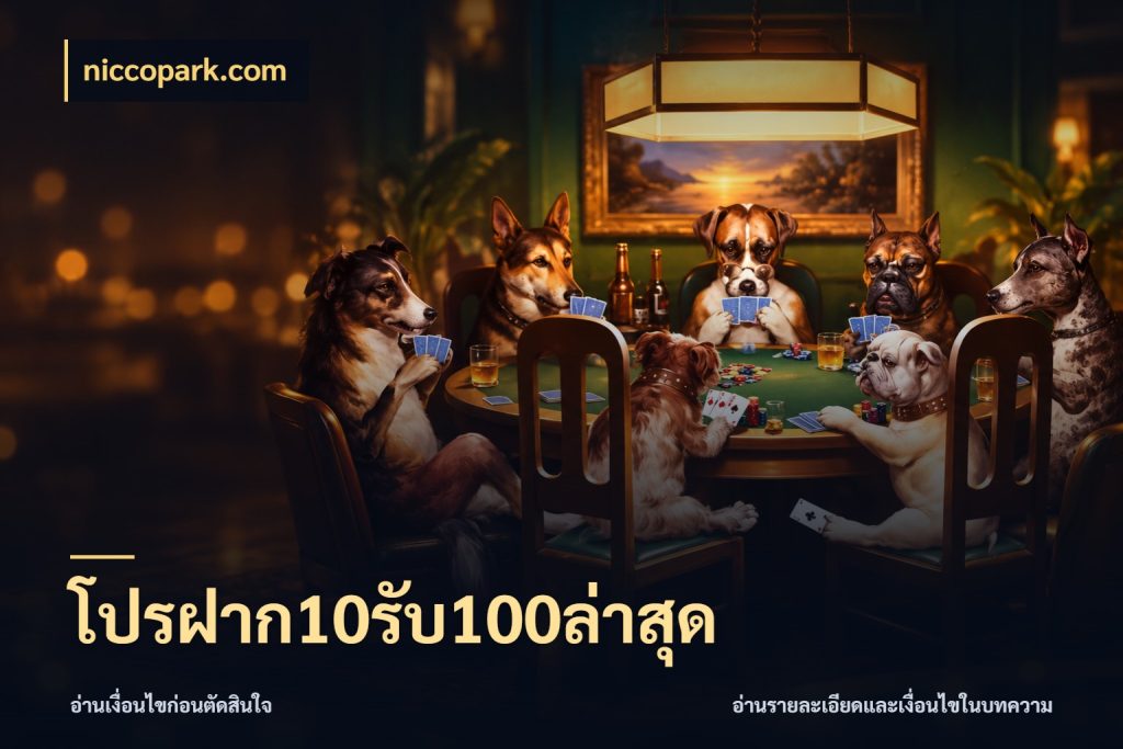 โปรฝาก10รับ100ล่าสุด niccopark.com สายโบนัสเลือกจังหวะสนุกได้อย่างไร