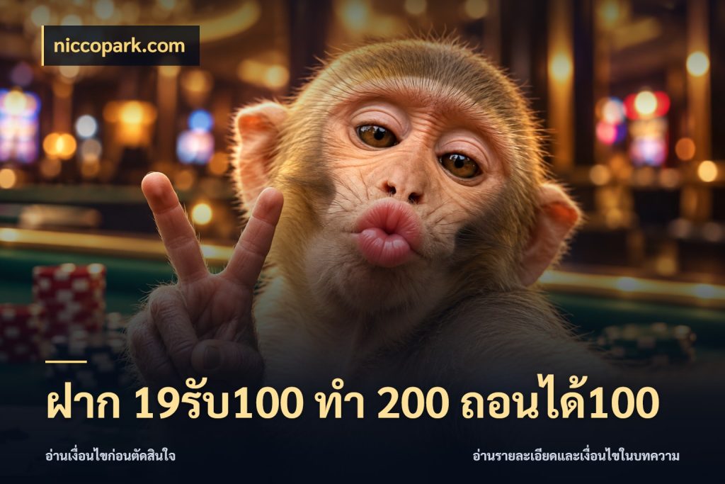 ฝาก 19รับ100 ทำ 200 ถอนได้100 niccopark.com จับประเด็นยอดรับก่อนเลือกความสนุก