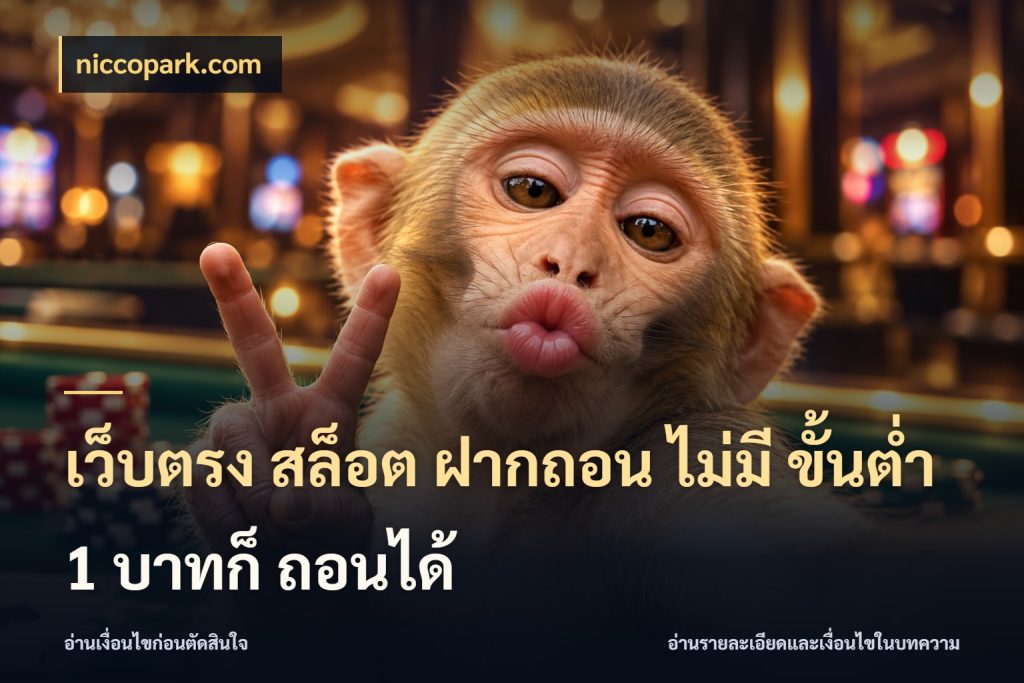 เว็บตรง สล็อต ฝากถอน ไม่มี ขั้นต่ำ 1 บาทก็ ถอนได้ มุมสนุกของคนที่กำหนดขอบเขตตัวเอง ในมุม niccopark.com