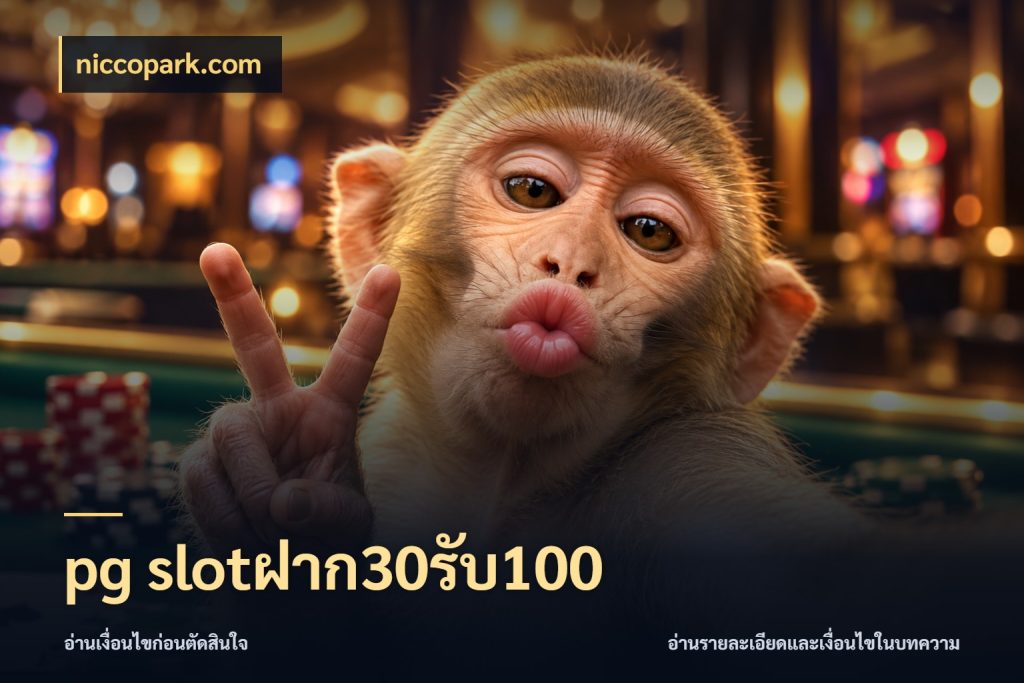 pg slotฝาก30รับ100 เครดิตกับรูปแบบโปรที่ตรงใจ สไตล์ niccopark.com