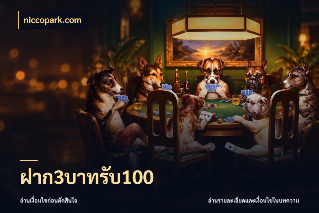 ฝาก3บาทรับ100 เครดิตกับรูปแบบโปรที่ตรงใจ ในมุม niccopark.com