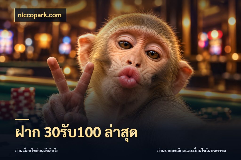 ฝาก 30รับ100 ล่าสุด จับประเด็นยอดรับก่อนเลือกความสนุก ในมุม niccopark.com