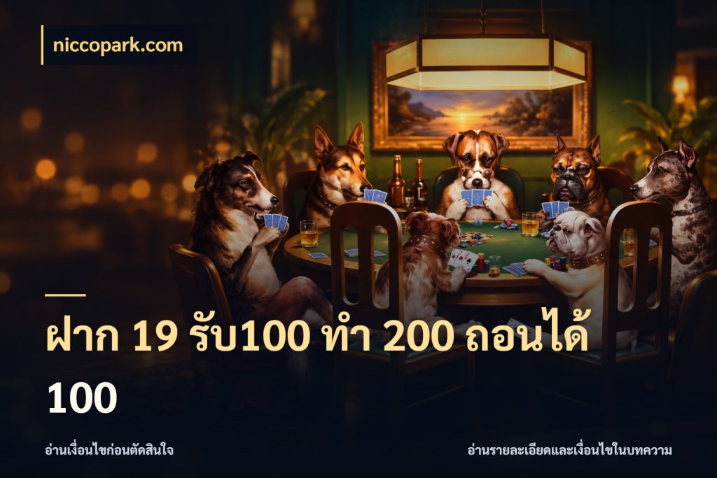 ฝาก 19 รับ100 ทำ 200 ถอนได้ 100 niccopark.com รูปแบบโบนัสกับสิทธิ์ของสายเกม