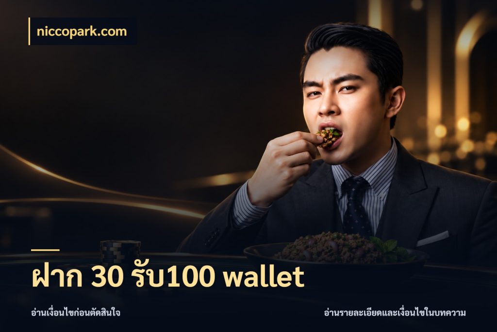 ฝาก 30 รับ100 wallet รูปแบบโบนัสกับสิทธิ์ของสายเกม สไตล์ niccopark.com