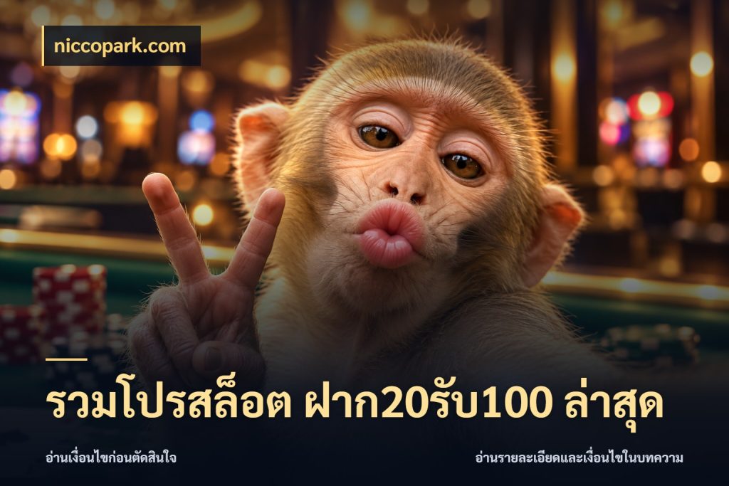 รวมโปรสล็อต ฝาก20รับ100 ล่าสุด สีสันของโปรฝากและยอดรับ กับ niccopark.com