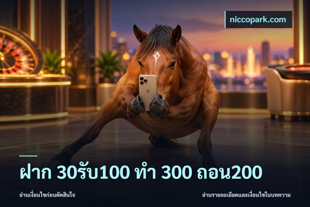 ฝาก 30รับ100 ทํา 300 ถอน200