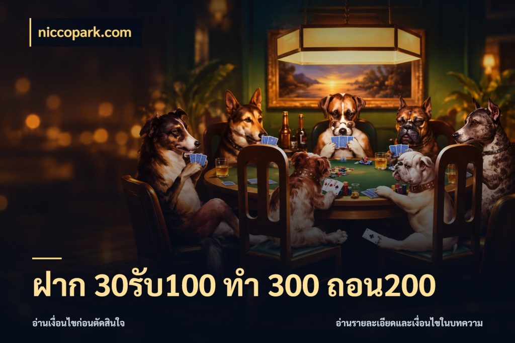 ฝาก 30รับ100 ทํา 300 ถอน200 รูปแบบโบนัสกับสิทธิ์ของสายเกม กับ niccopark.com