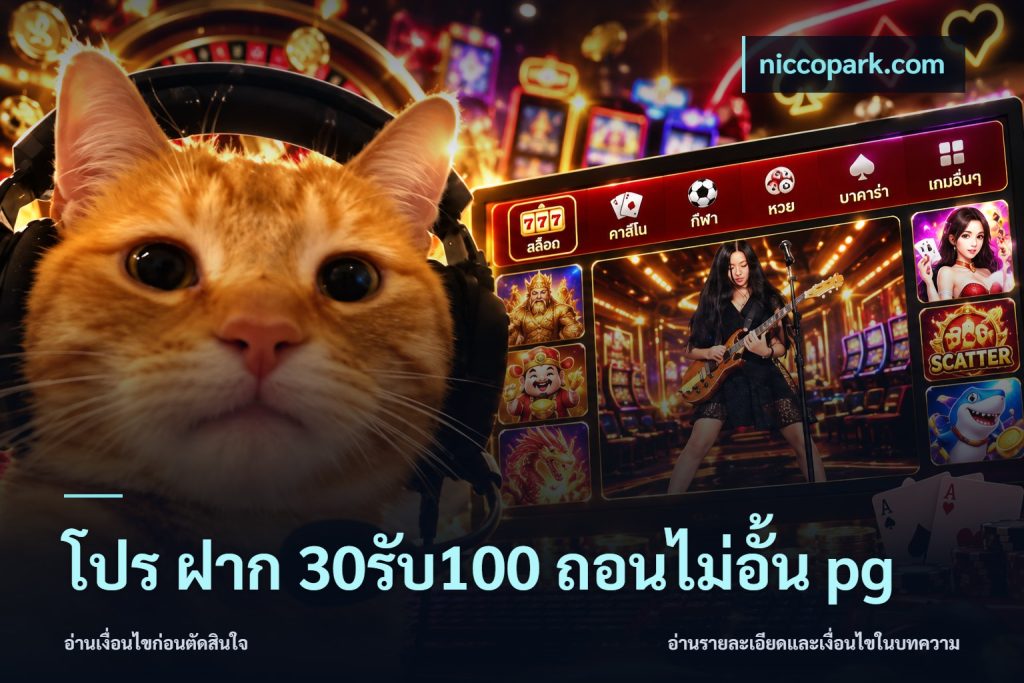 โปร ฝาก 30รับ100 ถอนไม่อั้น pg
