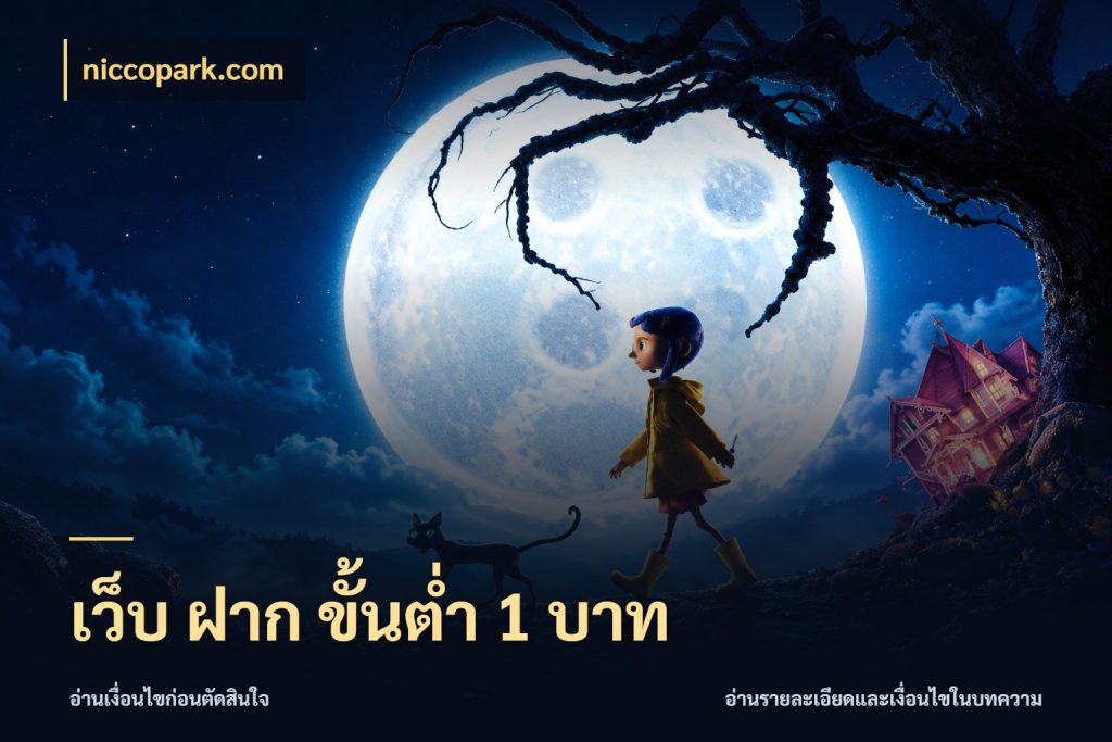 เว็บ ฝาก ขั้นต่ำ 1 บาท รู้จักจำนวนแต่ละแบบก่อนเลือกเกม สไตล์ niccopark.com
