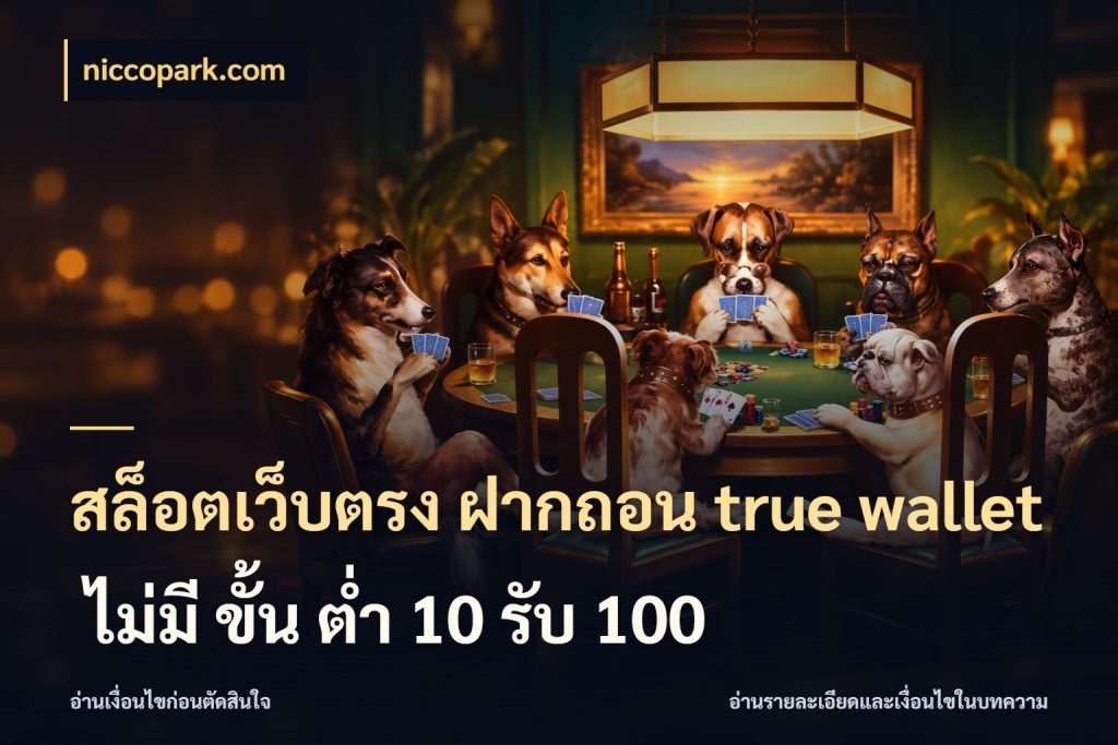 สล็อตเว็บตรง ฝากถอน true wallet ไม่มี ขั้น ต่ํา 10 รับ 100 จับคู่รูปแบบเงินกับสิทธิ์ของคุณ กับ niccopark.com