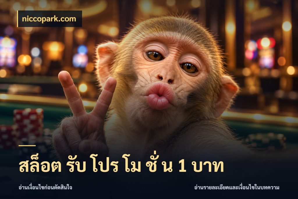 สล็อต รับ โปร โม ชั่ น 1 บาท niccopark.com สายทุนน้อยเลือกความสนุกให้พอดี