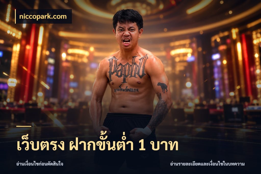 เว็บตรง ฝากขั้นต่ำ 1 บาท รู้จักจำนวนแต่ละแบบก่อนเลือกเกม สไตล์ niccopark.com