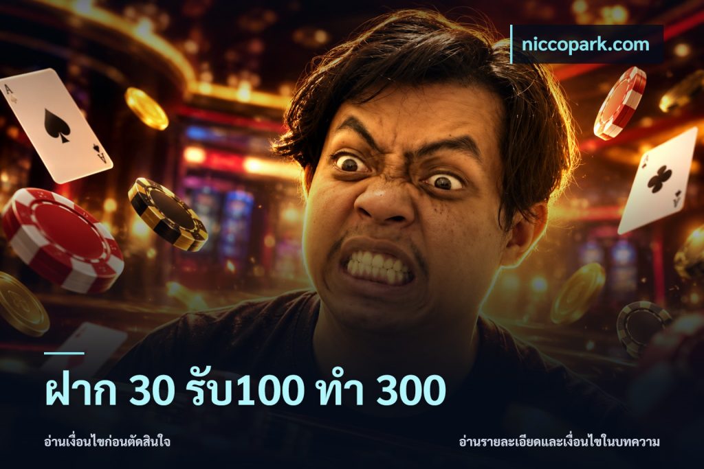 ฝาก 30 รับ100 ทำ 300
