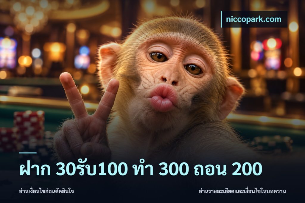 ฝาก 30รับ100 ทํา 300 ถอน 200