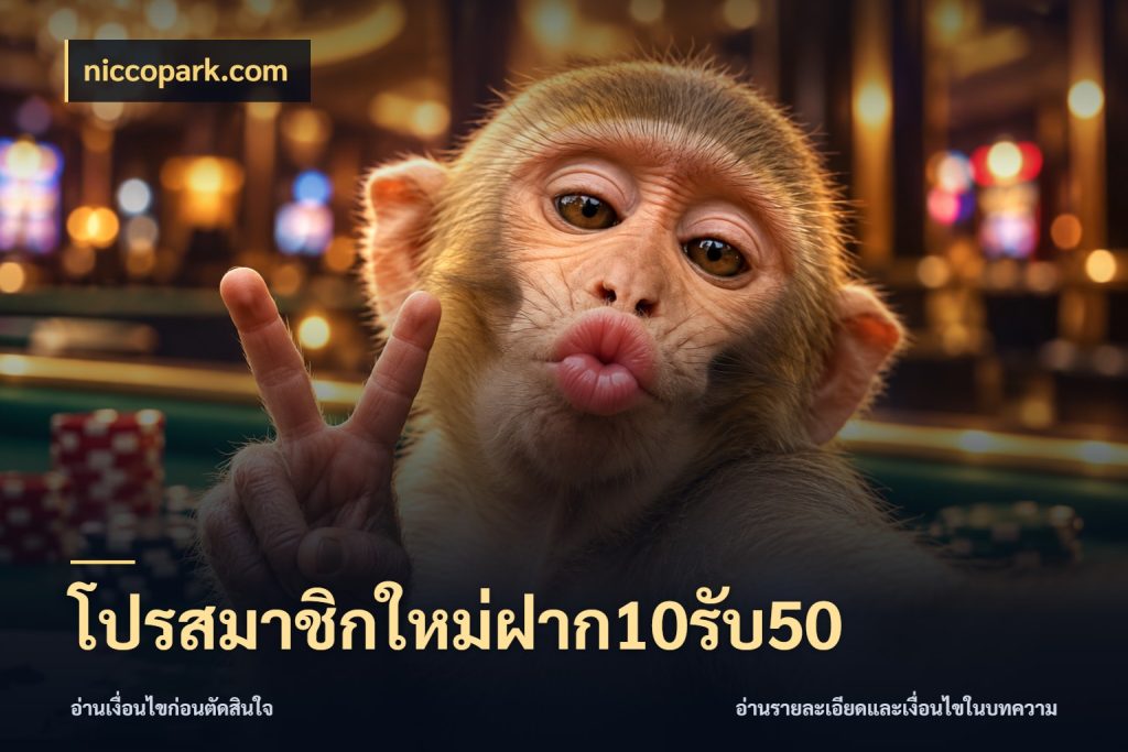 โปรสมาชิกใหม่ฝาก10รับ50 โปรกับเกมที่ชอบเลือกให้ตรงสไตล์ สไตล์ niccopark.com