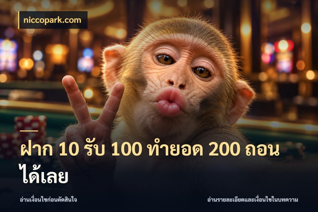 ฝาก 10 รับ 100 ทำยอด 200 ถอนได้เลย รูปแบบโบนัสกับสิทธิ์ของสายเกม สไตล์ niccopark.com